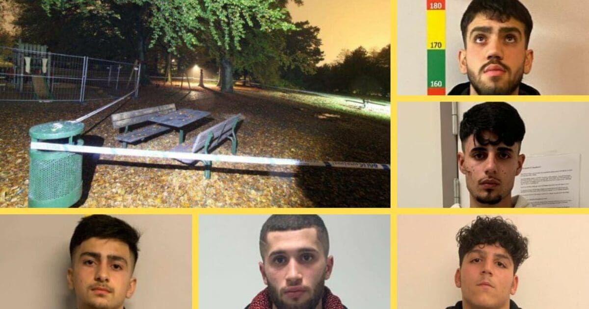 Suicidal Sweden: Woman Gang-Raped in a Park by Five Teenage Syrian Muslim Migrants - RAIR