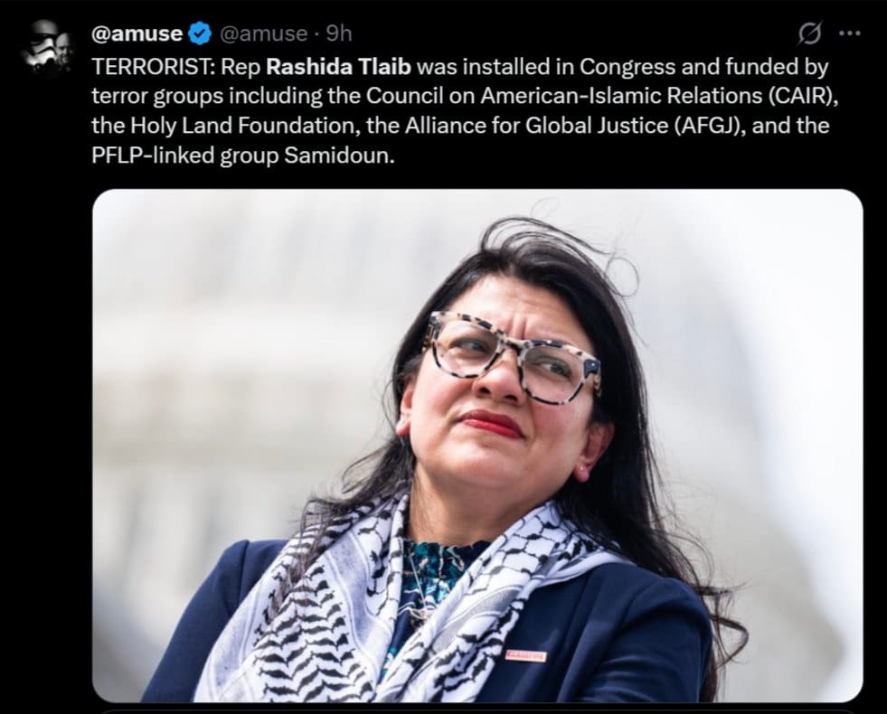 A Matter Of National Security: Damning Report Exposes Rashida Tlaib’s Alleged Ties To Terrorist Groups