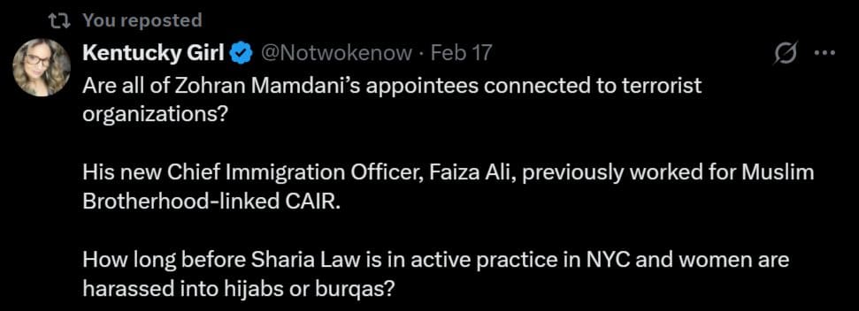 Mamdani Taps ‘Abolish ICE’ Activist/Former CAIR Employee Faiza Ali As NYC’s New Chief Immigration Officer