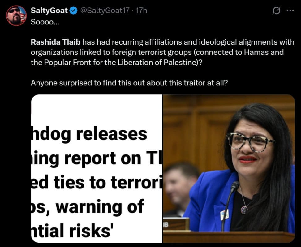 A Matter Of National Security: Damning Report Exposes Rashida Tlaib’s Alleged Ties To Terrorist Groups